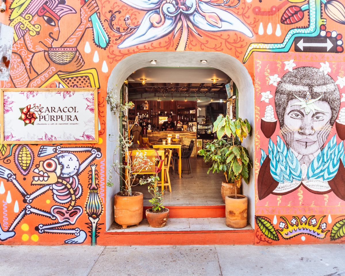 Caracol Púrpura
