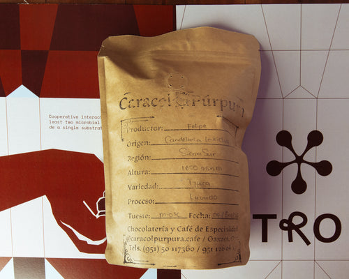 Caracol Púrpura - Felipe - Candelaria Loxicha, Sierra Sur, Oaxaca - Washed Typica