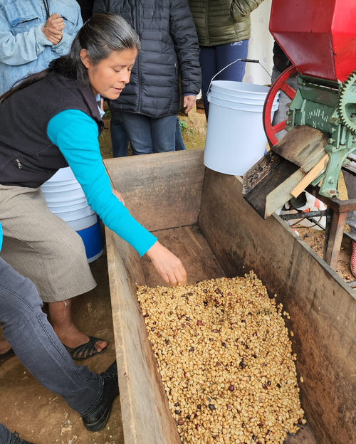 Café Rústiko — Lourdes Yescas — Las Delicias, San Juan Juquila Vijanos, Sierra Norte, Oaxaca