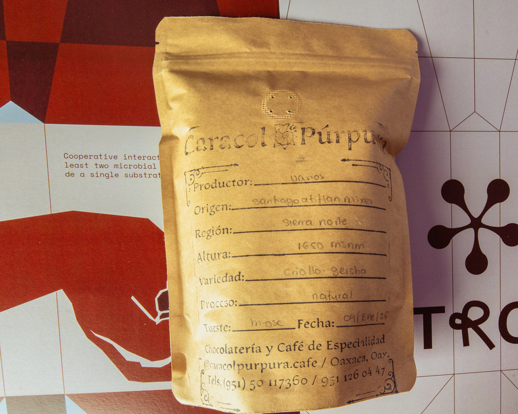 Sierra Norte - Criollo Geisha - Natural
