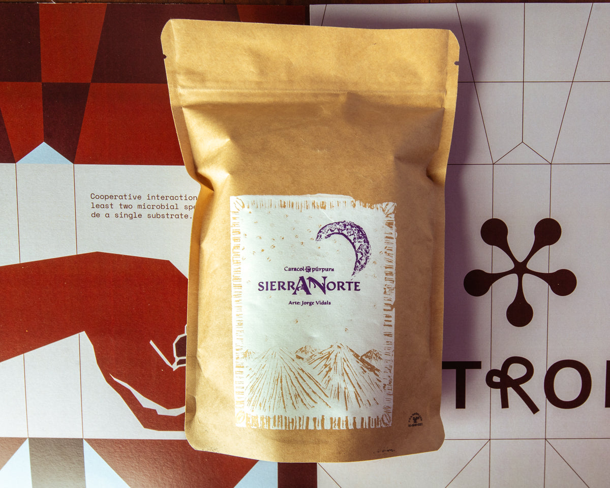 Sierra Norte - Criollo Geisha - Natural