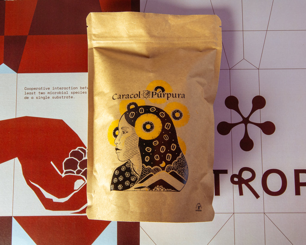 Caracol Púrpura - Sr Felipe López - Santiago Atitlán Mixes, Sierra Norte, Oaxaca - Criollo & Geisha	Enmielado