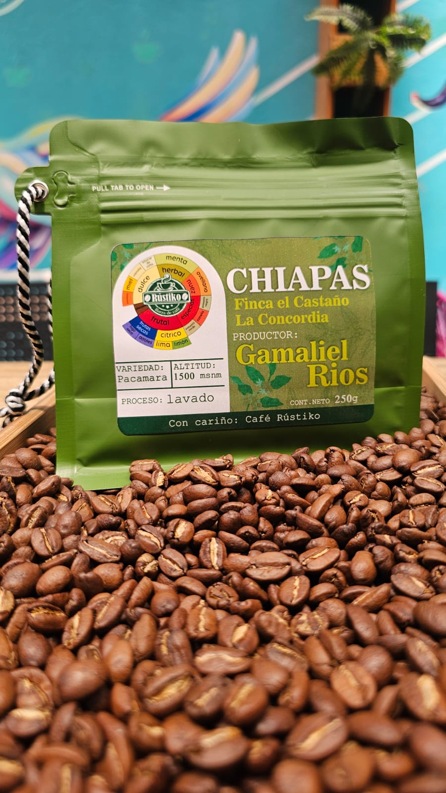 Café Rústiko — Gamaliel Rios — Finca el Castaño, La Concordia, Chiapas